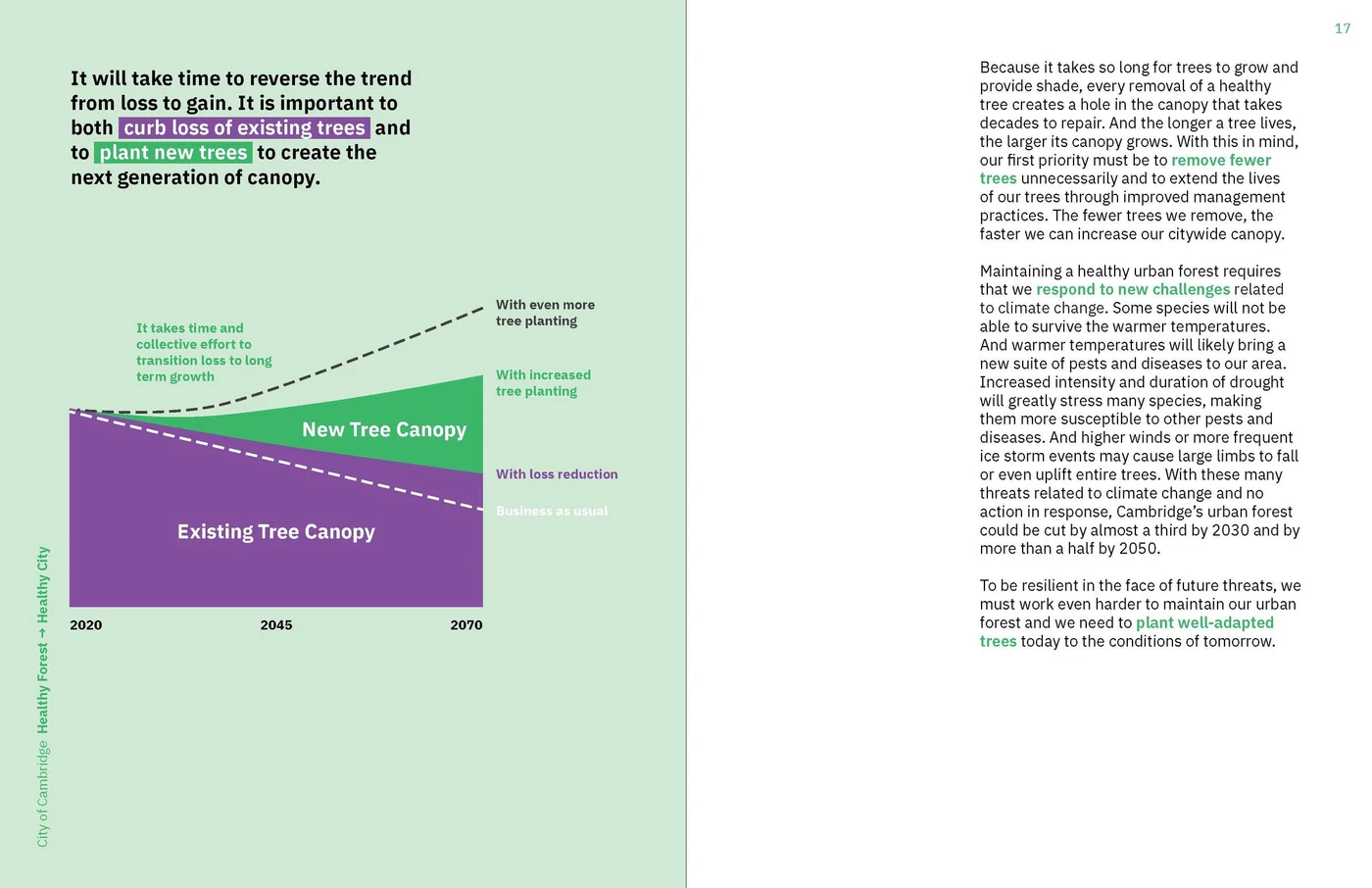 Data visualization: making complex canopy data legible and actionable