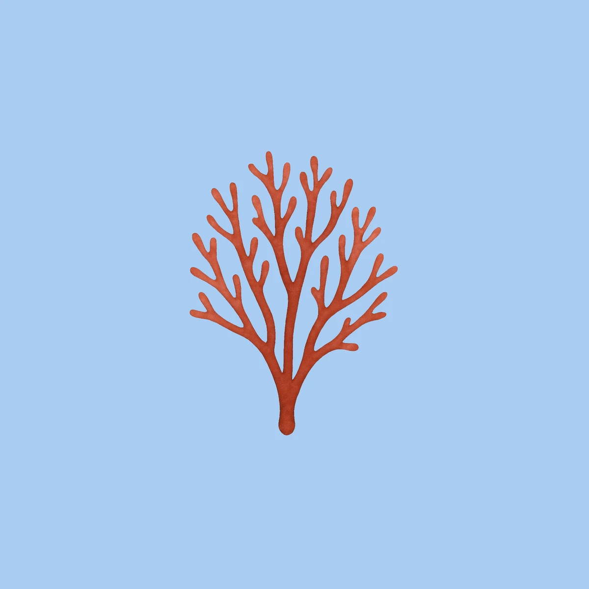 Seaweed Index