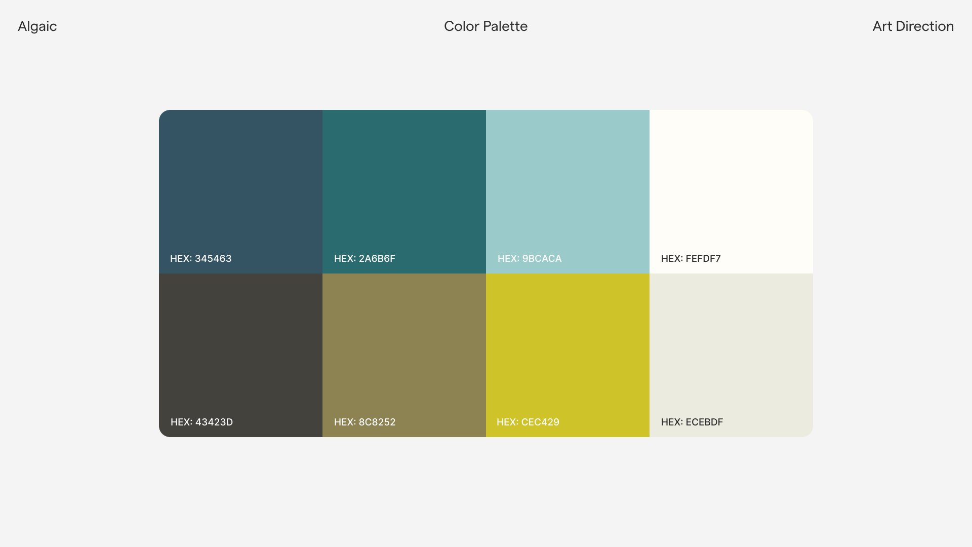 Brand direction: colour palette