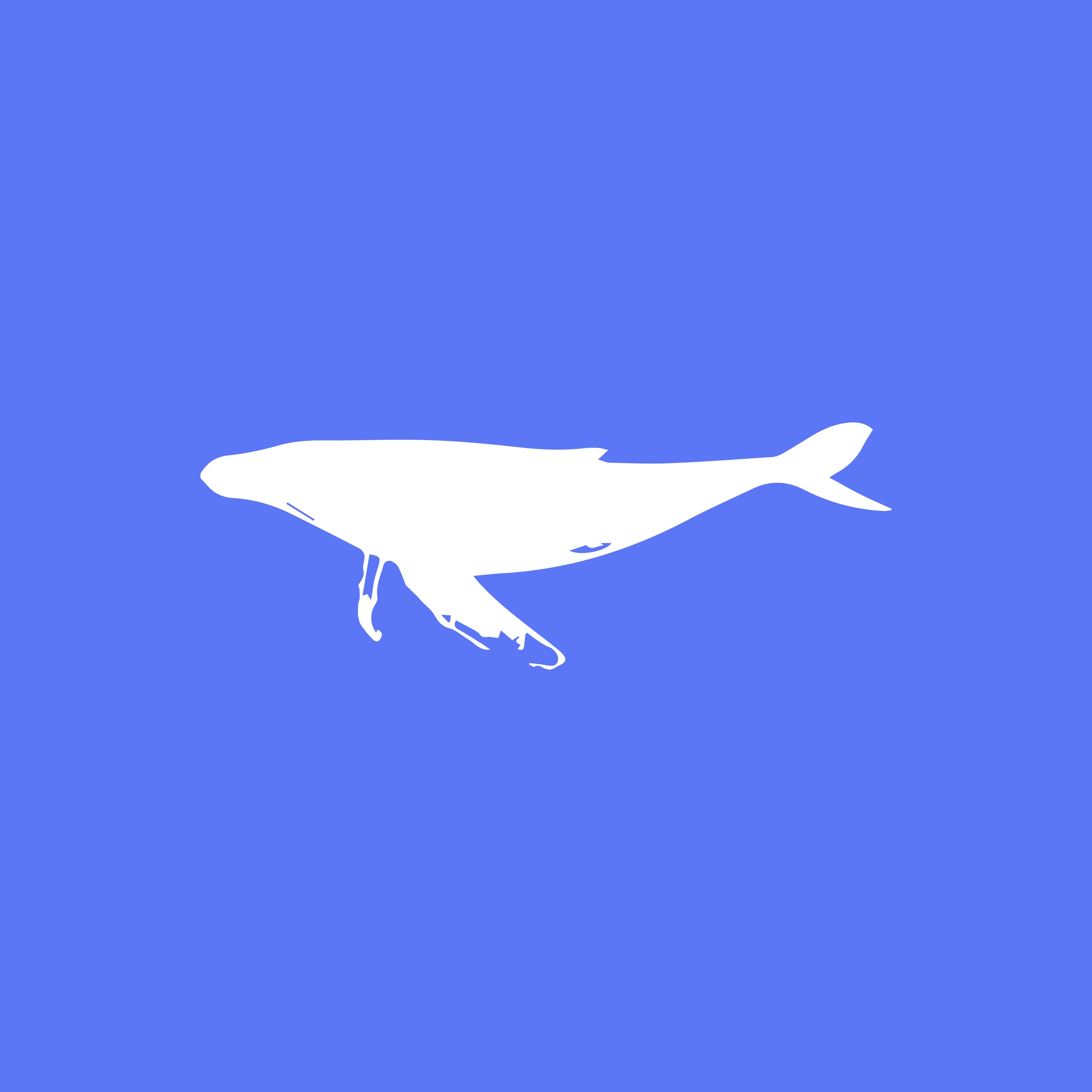 Bay Whale Strandings